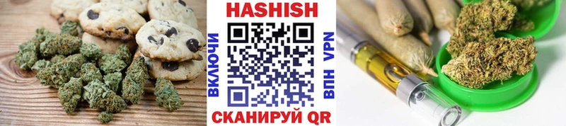 shop Telegram  Будённовск  Canna-Cookies конопля  hydra как зайти 