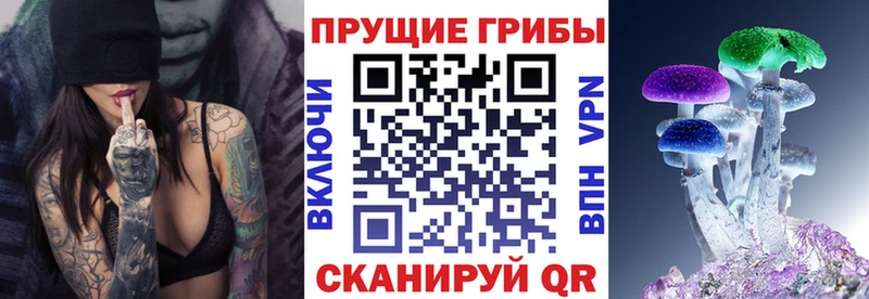 хочу наркоту  Будённовск  Галлюциногенные грибы прущие грибы 